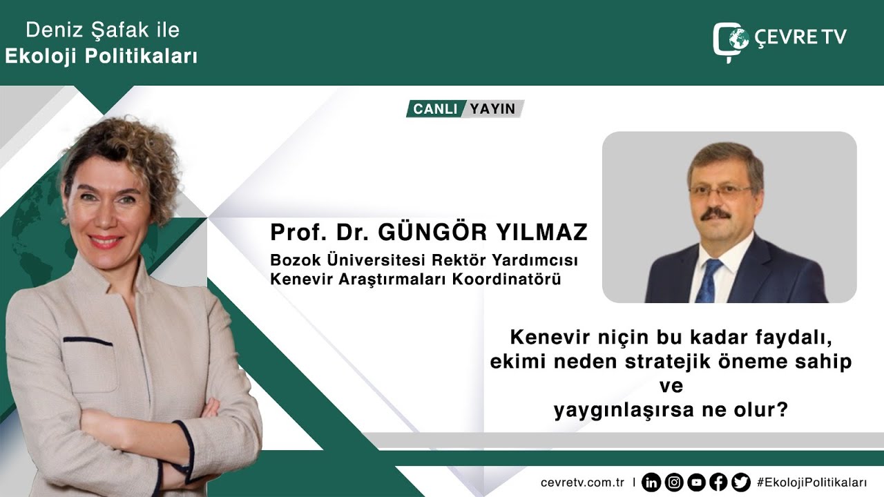 Kenevirin Türkiye’deki geçmişi nedir? Kenevir tarımı günümüzde ne durumda? / Ekoloji Politikaları