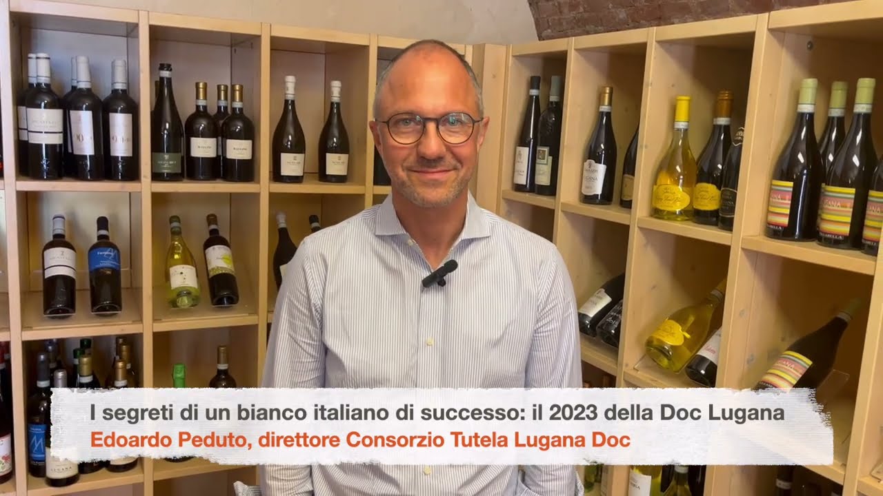 Il 2023 della DOC LUGANA: i segreti di un vino bianco italiano di successo, parla Edoardo Peduto