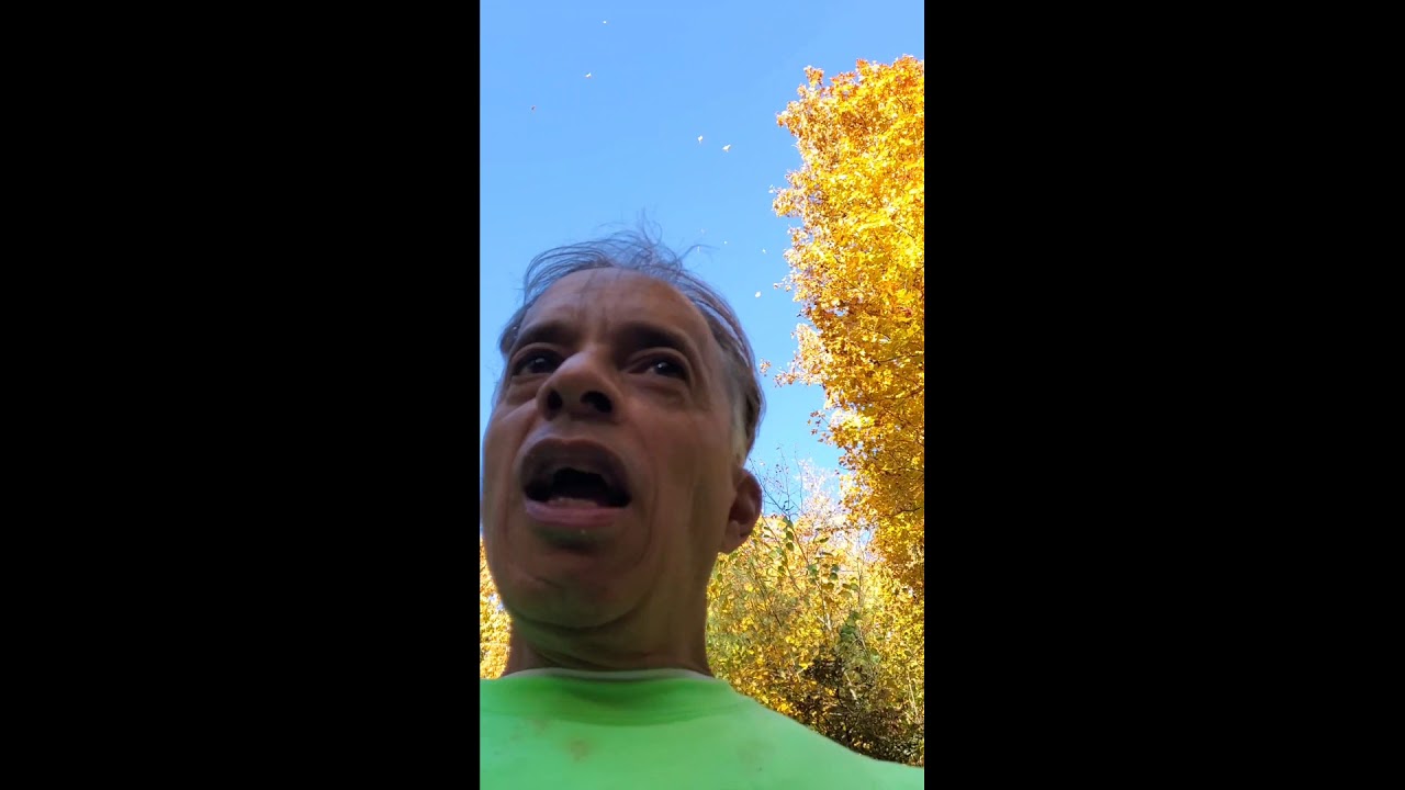 Hiking Sundown Forest