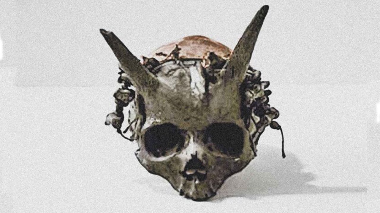 Horned Skull Found in Sayre Pennsylvania | Strange Unexplained