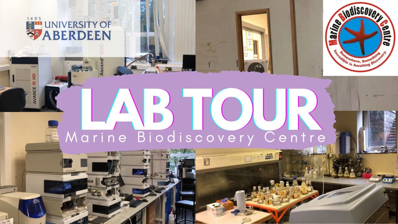 LAB TOUR // Marine Biodiscovery Centre @ University of Aberdeen | My PhD and Me