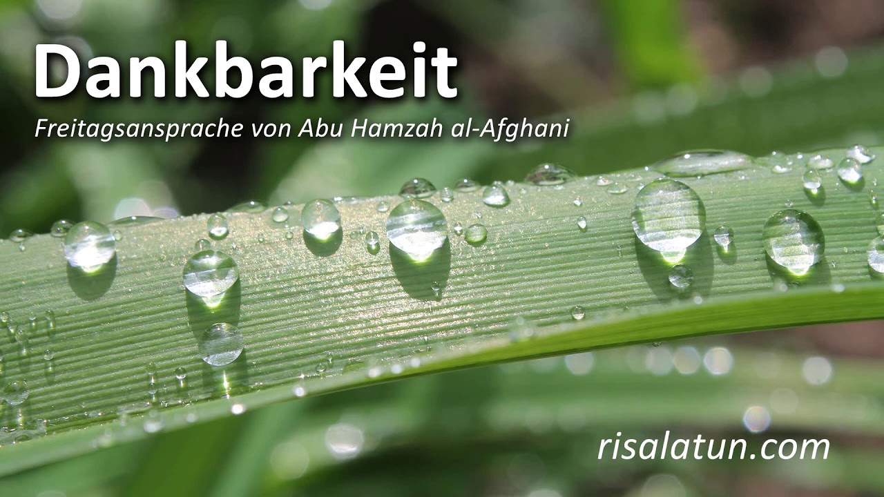 Dankbarkeit - Abu Hamzah al-Afghani