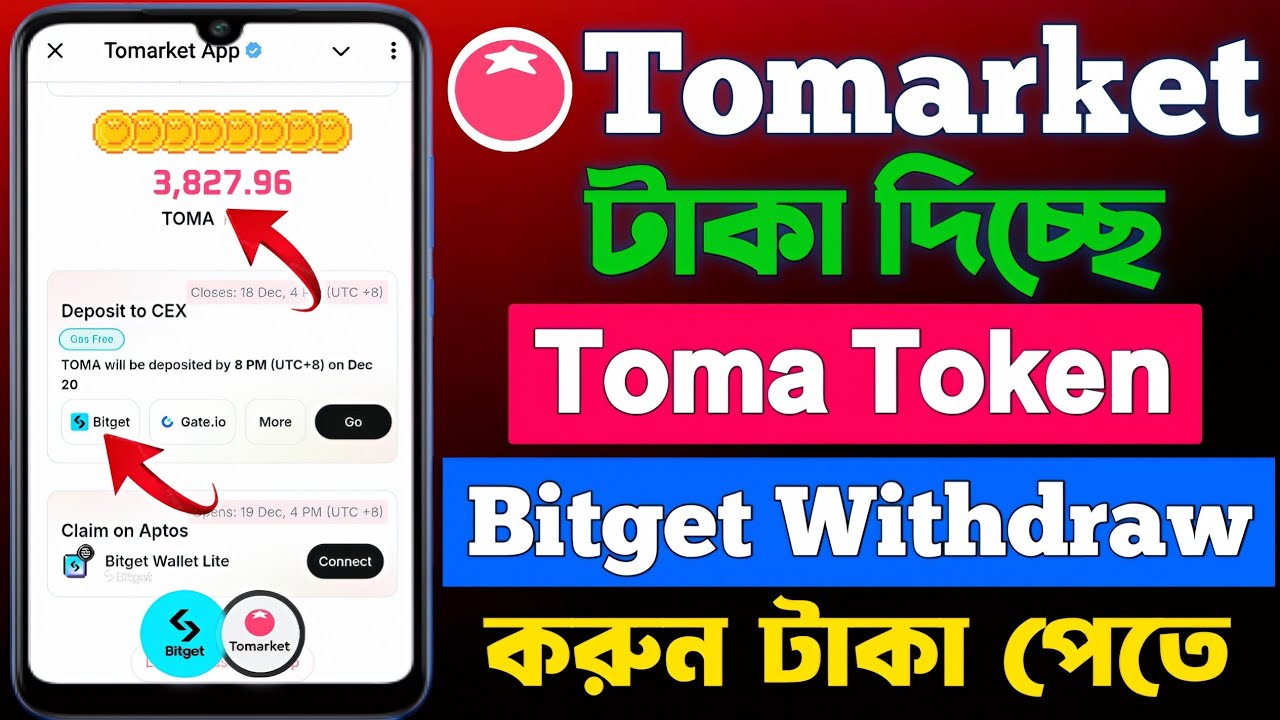 Tomarket Withdrawal Process | Tomarket Token Withdrawal Bitget | Tomarket Token Withdraw dibo kivabe