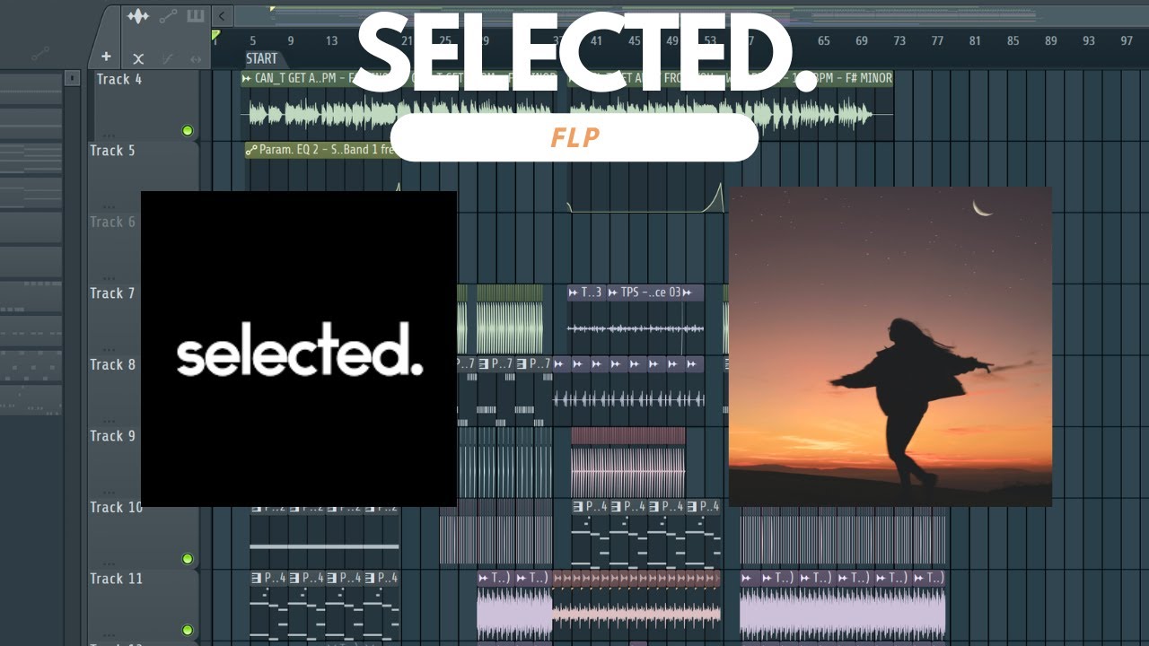 Professional Selected. Style + FLP  #1