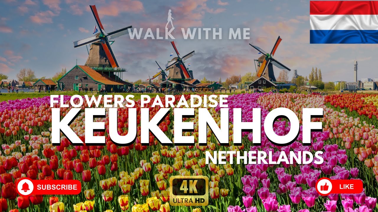 Keukenhof Netherlands 🌷 | 4K Scenic Walking Tour Through Europe’s Most Beautiful Garden
