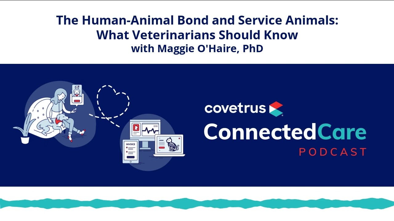 The Human-Animal Bond and Service Animals: What Veterinarians Should Know
