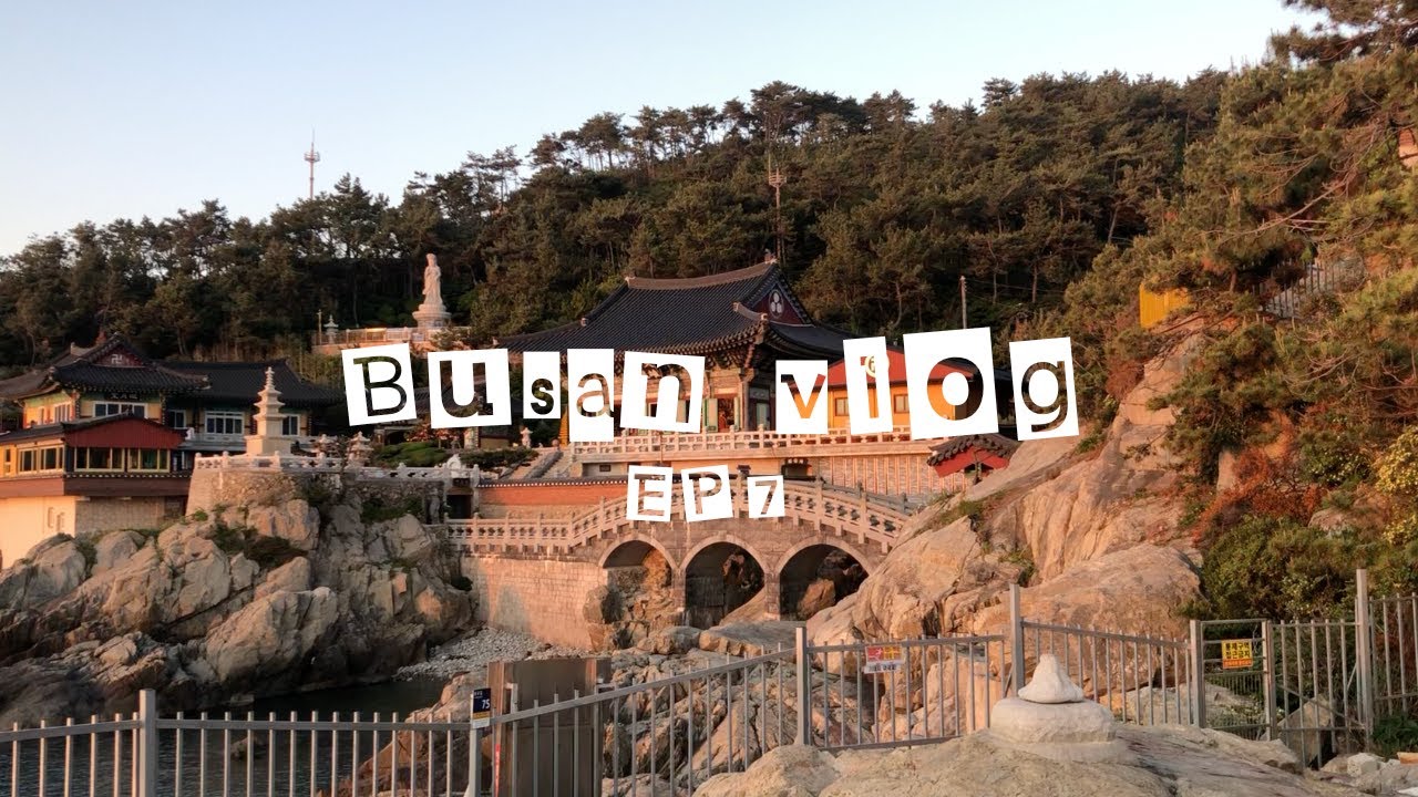🇰🇷 busan vlog |  haedong yonggungsa sunrise [EP7]
