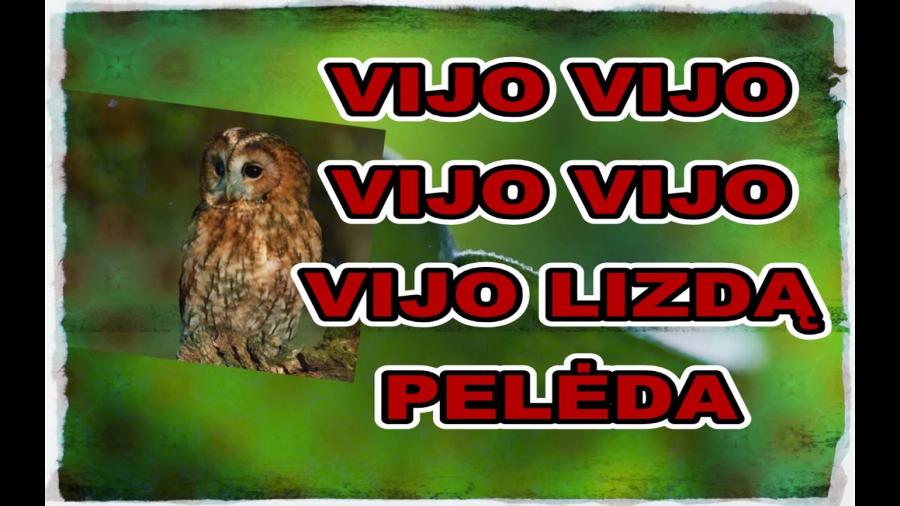 Pelėda - karaoke