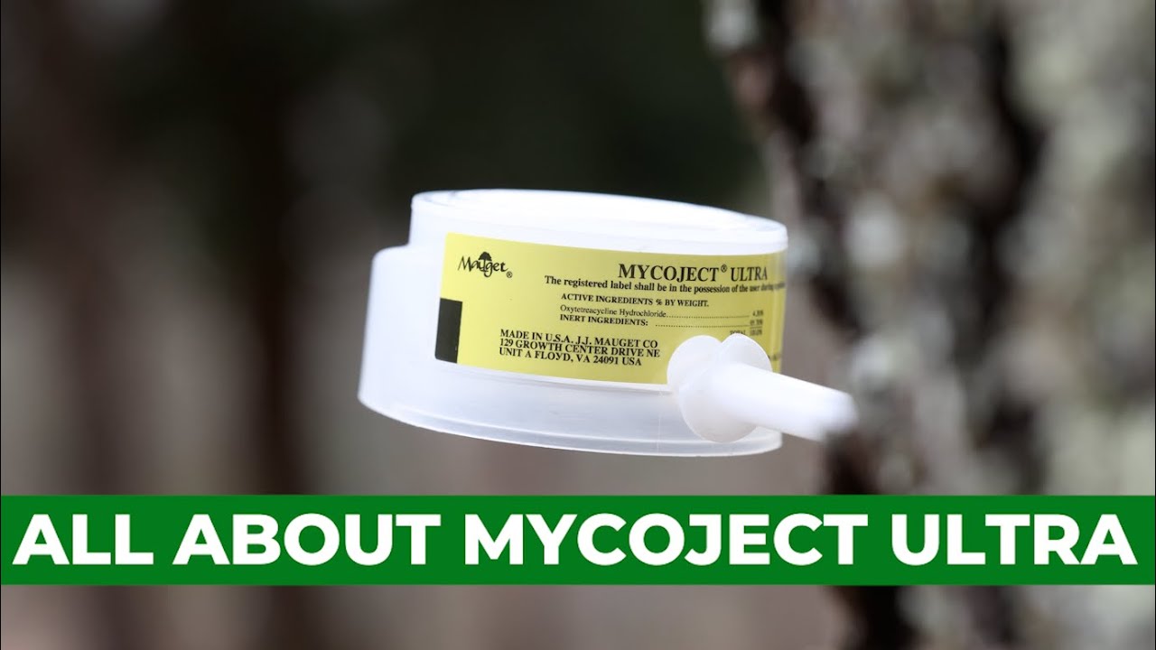 Systemic Tree Antibiotics Explained | Mycoject Ultra Deep Dive