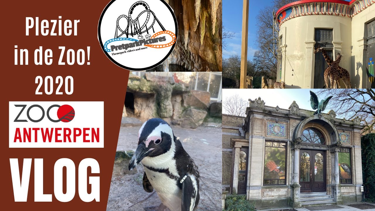 Plezier in de zoo! ZOO Antwerpen 2020 - PpVLOG #16