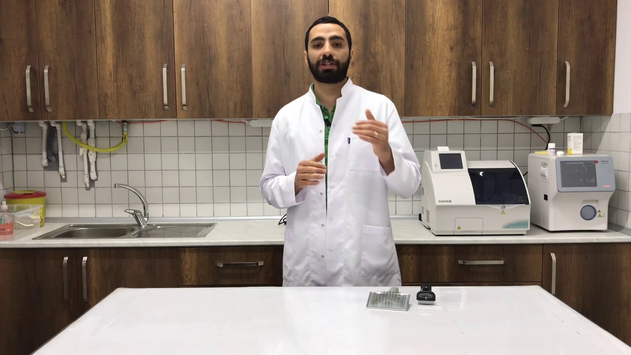 KEDİ VE KÖPEKLERDE TÜY DÖKÜLMESİNE SON! 2. Video