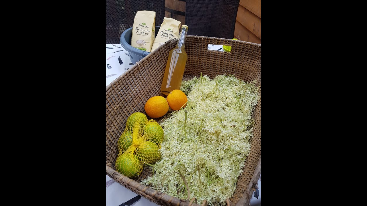 Holunderblütensirup selber machen