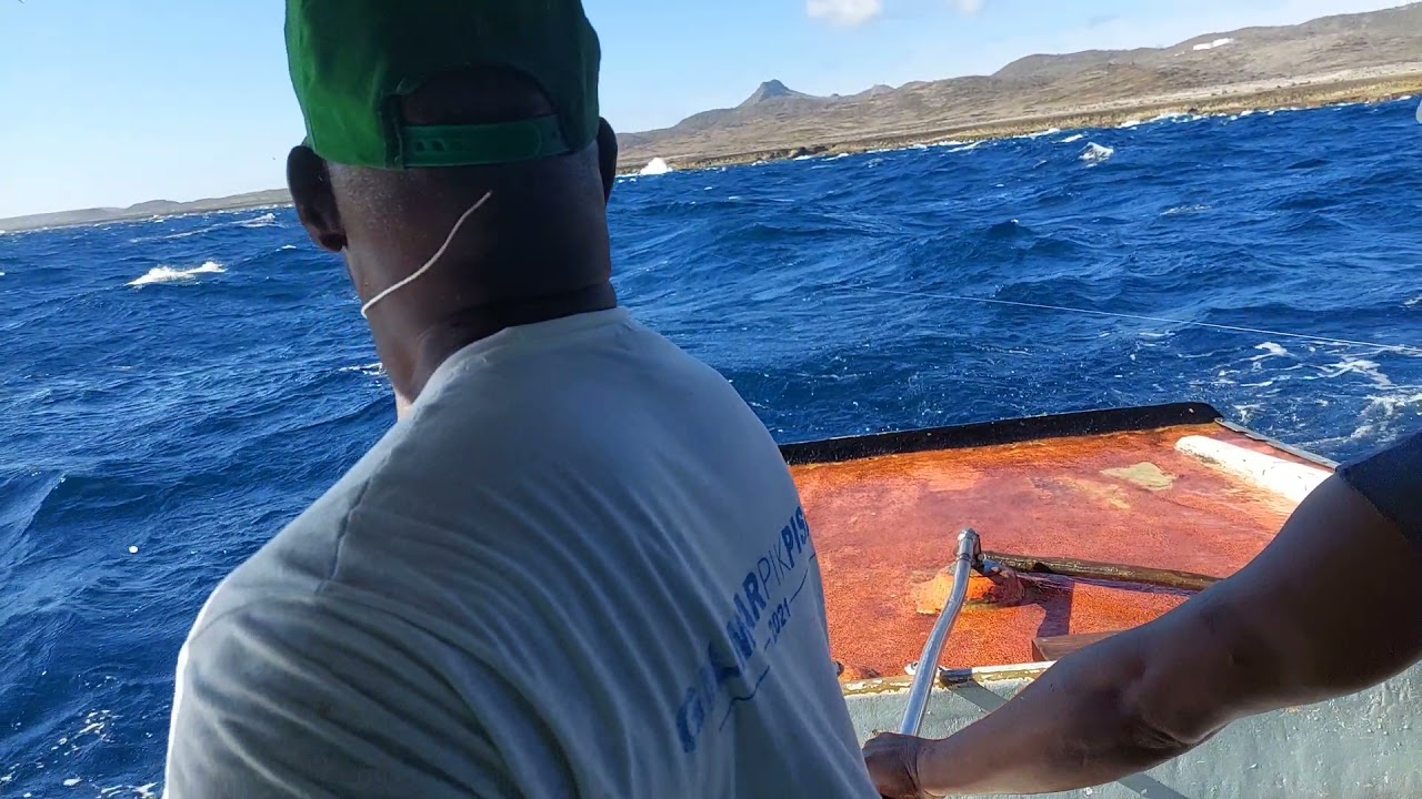 Mahi mahi hunting part 3