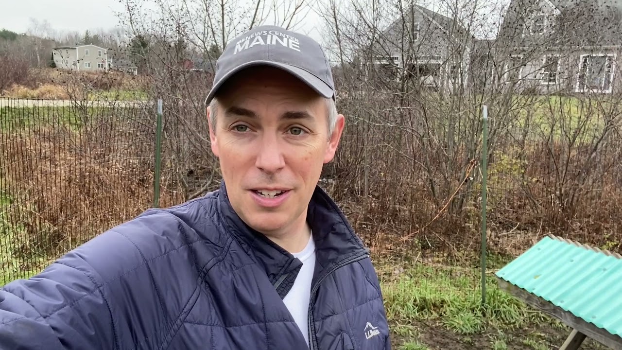 Ducks and Chickens Hack