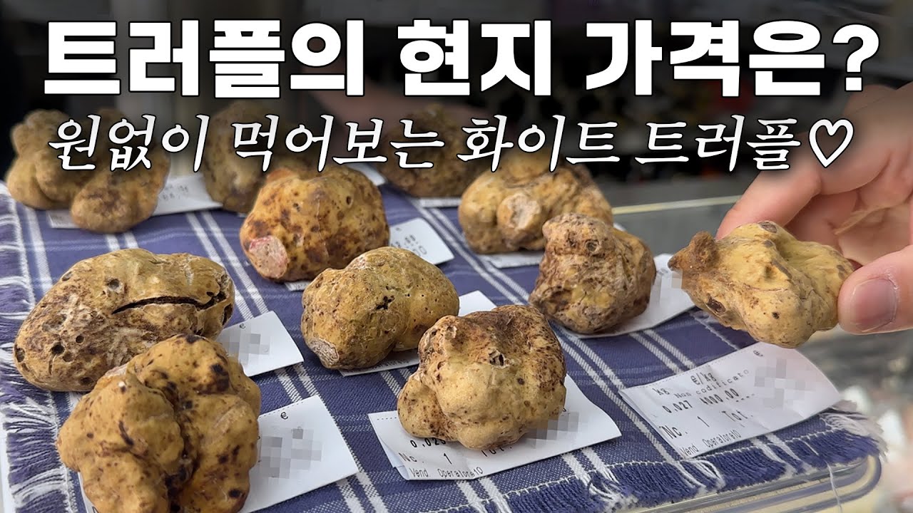 화이트 트러플의 고장 피에몬테 알바(Alba)에서 트러플 구매하기, 알바 맛집 #이탈리아여행 #whitetruffle