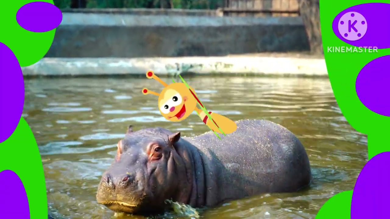 Go eco 2014