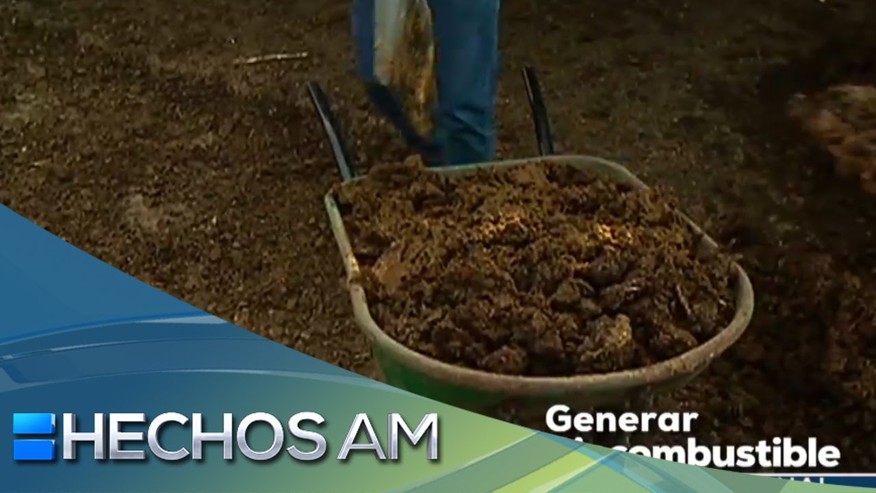 Genera biocombustible gratis | Hechos a mano
