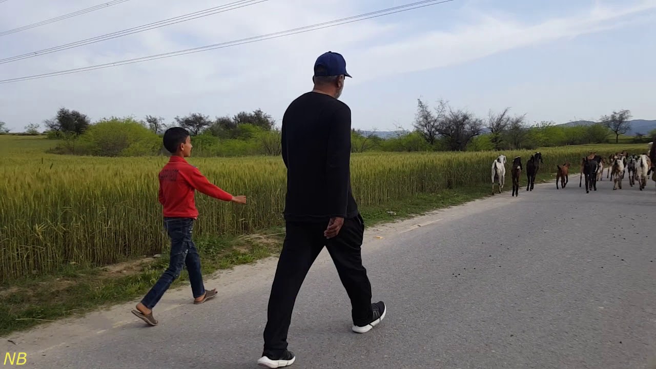 Dhok Pathan Attock City