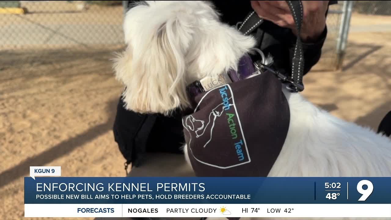 Taking action to protect our pets