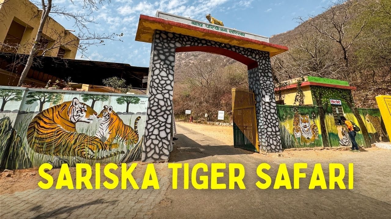 Sariska Tiger Reserve Safari (Baraliwari Gate)