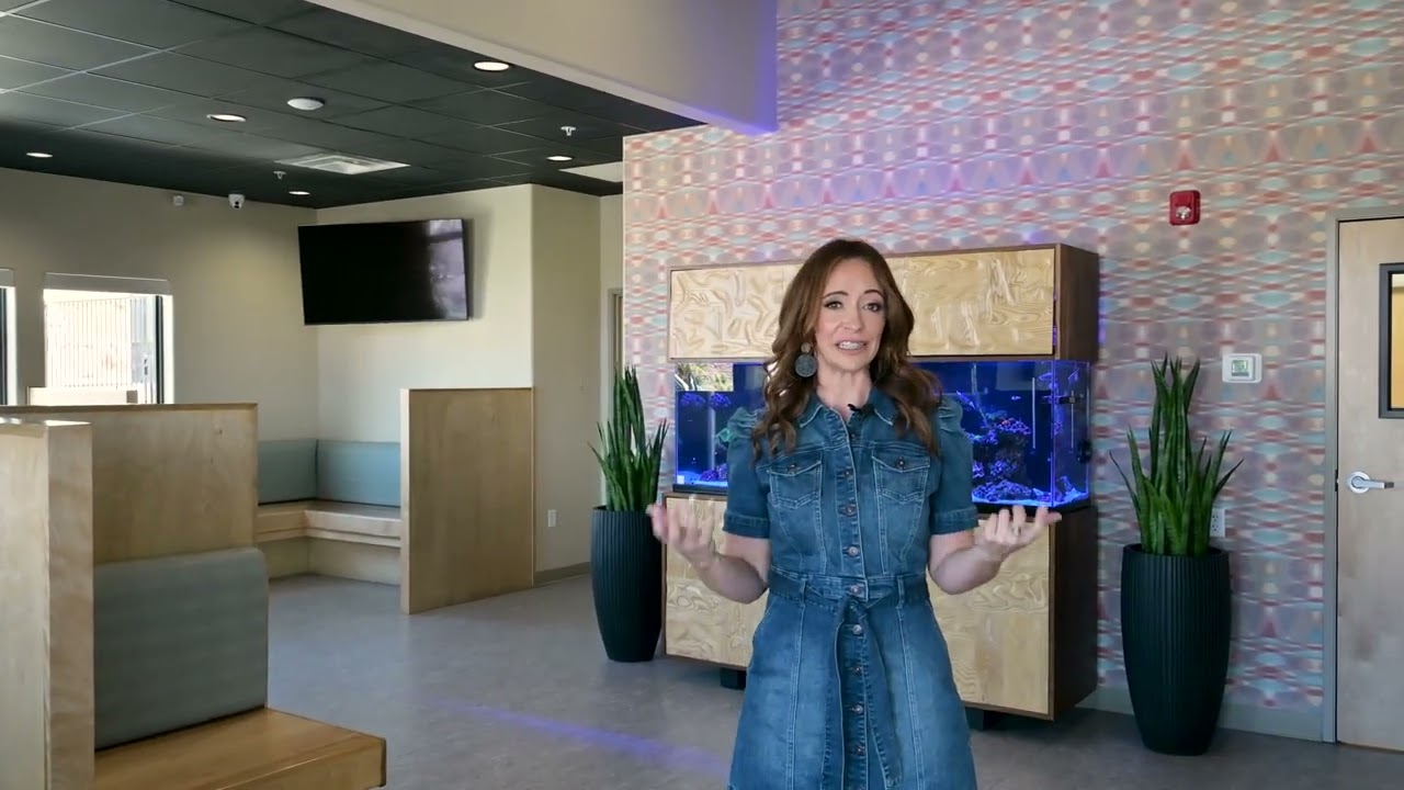 Veterinary Clinic Luxury Design Tour