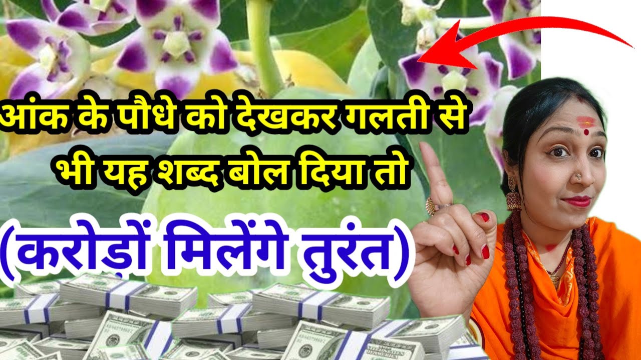 आंक के पौधे को देख कर ये शब्द बोल दिए तो पैसा बरसेगा 💰 | Money Astrology Secret #astrology #money 