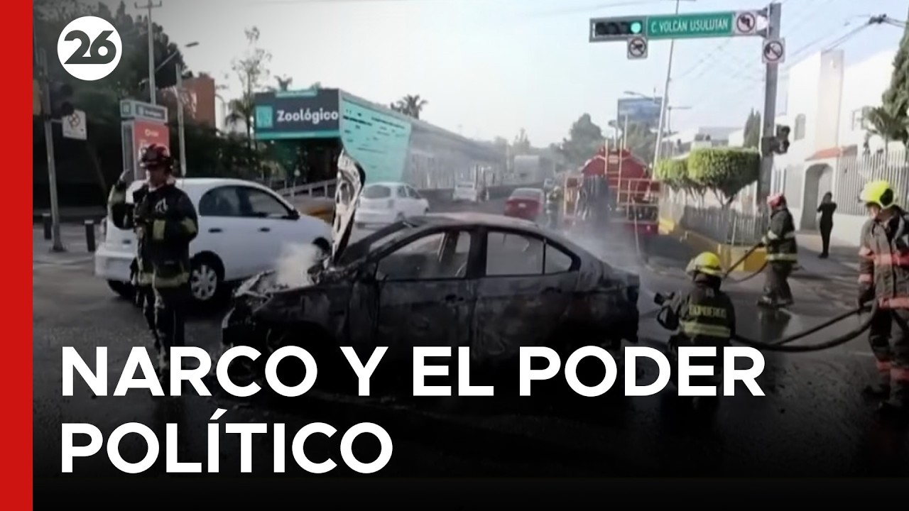🌎LOS CÁRTELES QUE DOMINAN MÉXICO | una guerra que no termina