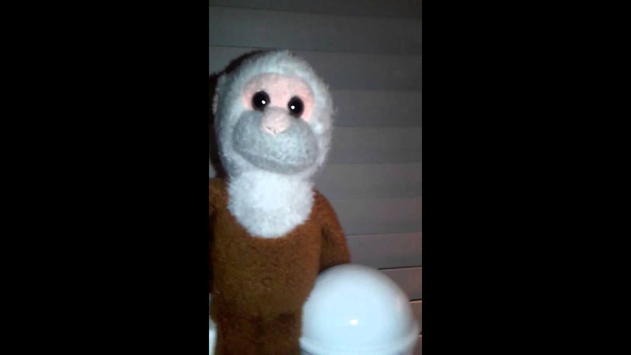 l Bossam V6 Monkey lol