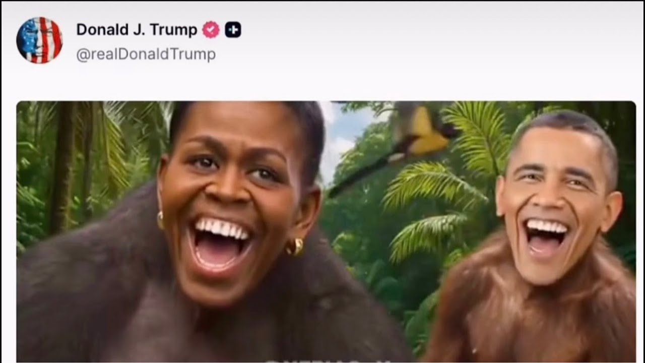 TRUMP POST A RACIST PIC OF BARACK & MICHELLE OBAMA |TS MADISON PROTECTIVE ORDER DL WHISPER