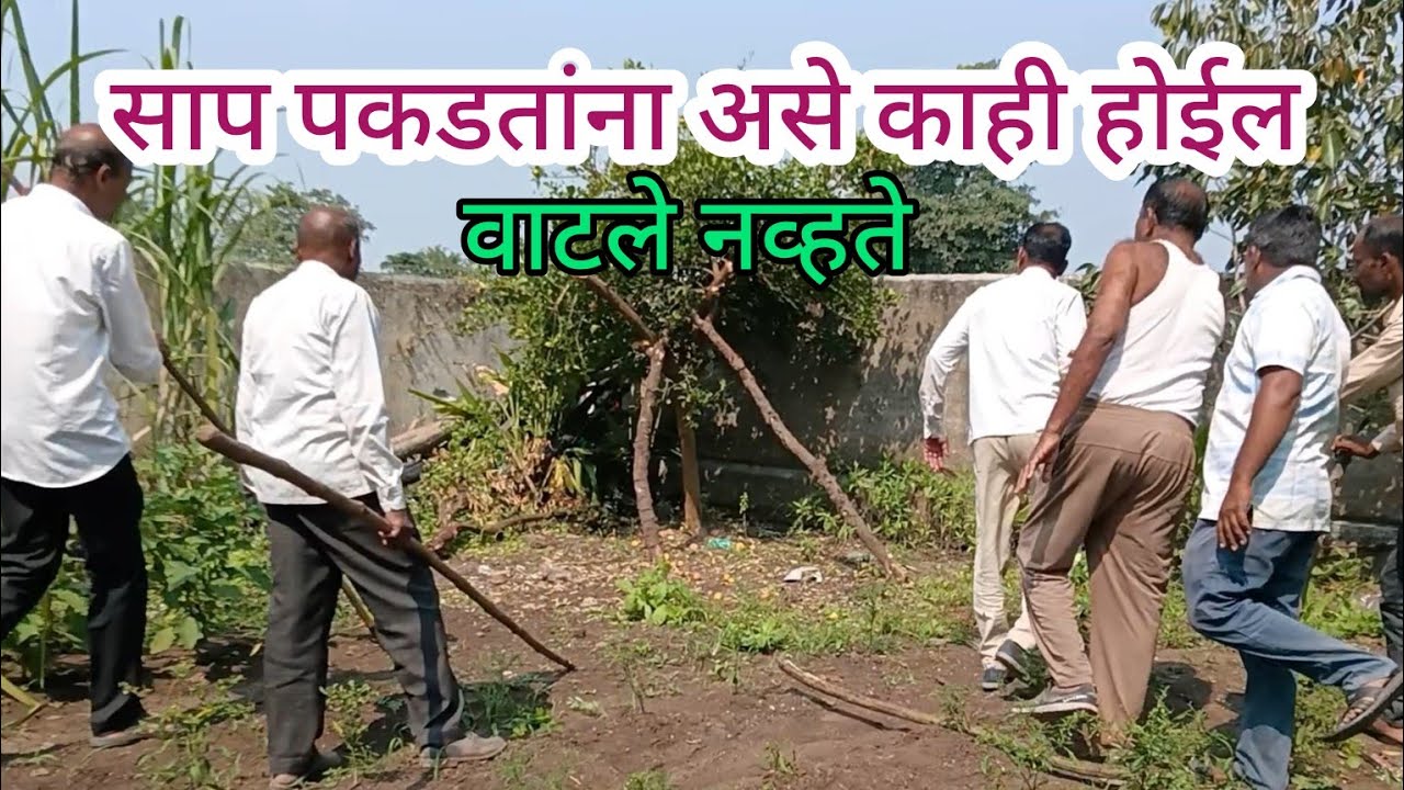 साप पकडतांना असे काही होईल , वाटले नव्हते # # # सर्पमित्र