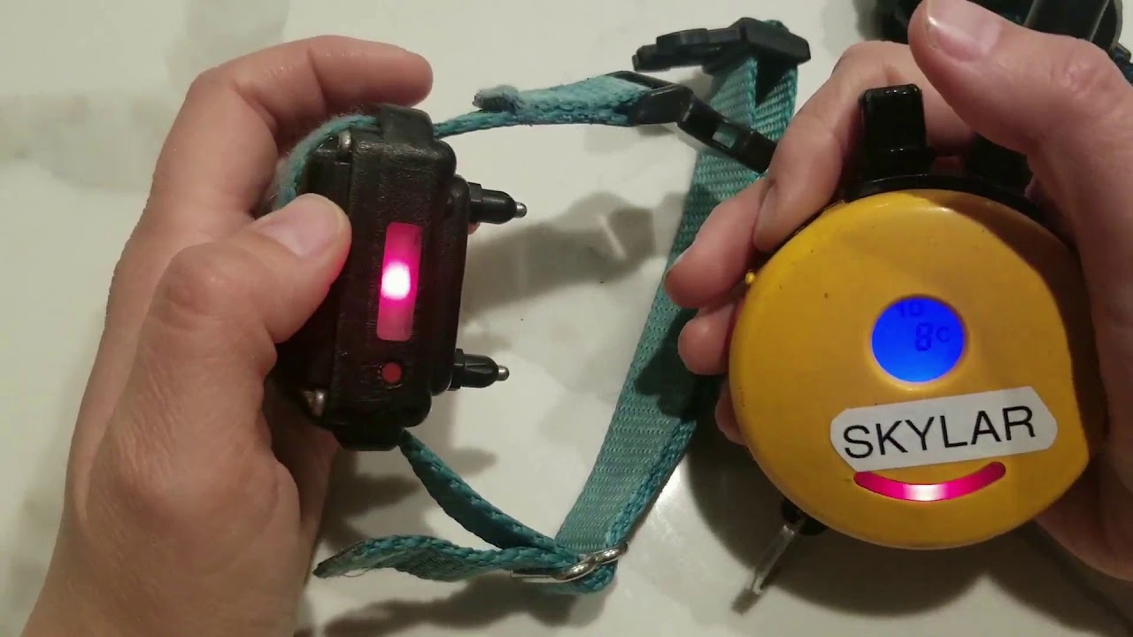 How to Pair 2 Collars to 1 Remote for the Mini Educator l Rooted Dog Training