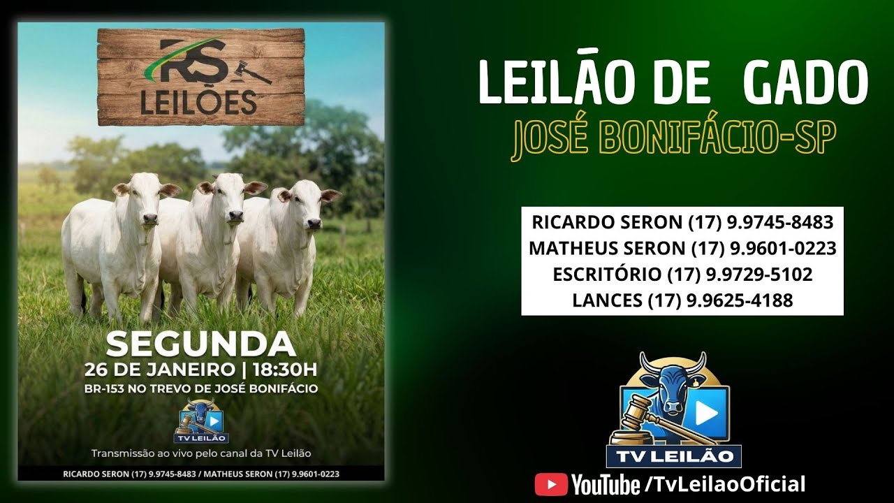 RS LEILÕES AO VIVO -JOSÉ BONIFÁCIO - SP | LEILÃO DE GADO | 26/01/2026
