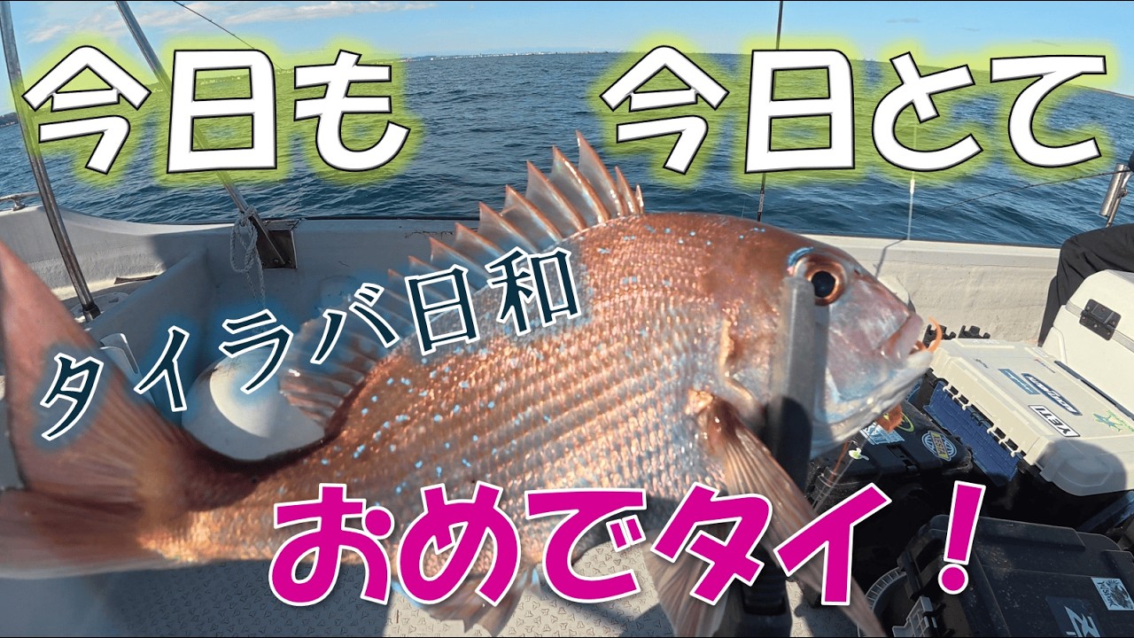 【東京湾】強風後のタイラバの釣果はいかに？！