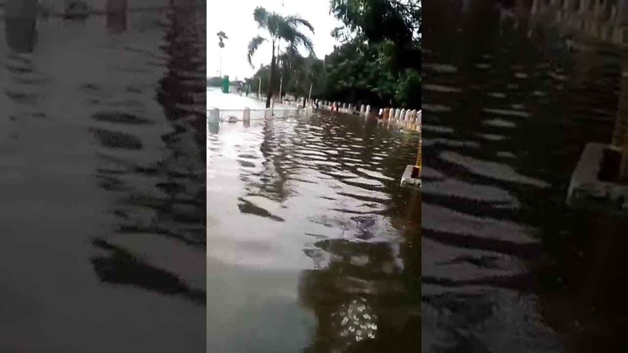 Patna rain , (flood) 2019 Mangal talab , patna city ka haal yea hai