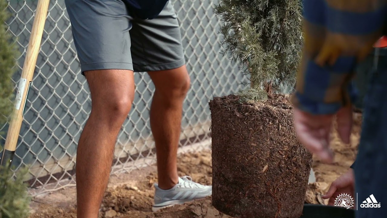 FPU baseball partners with Tree Fresno for outfield project