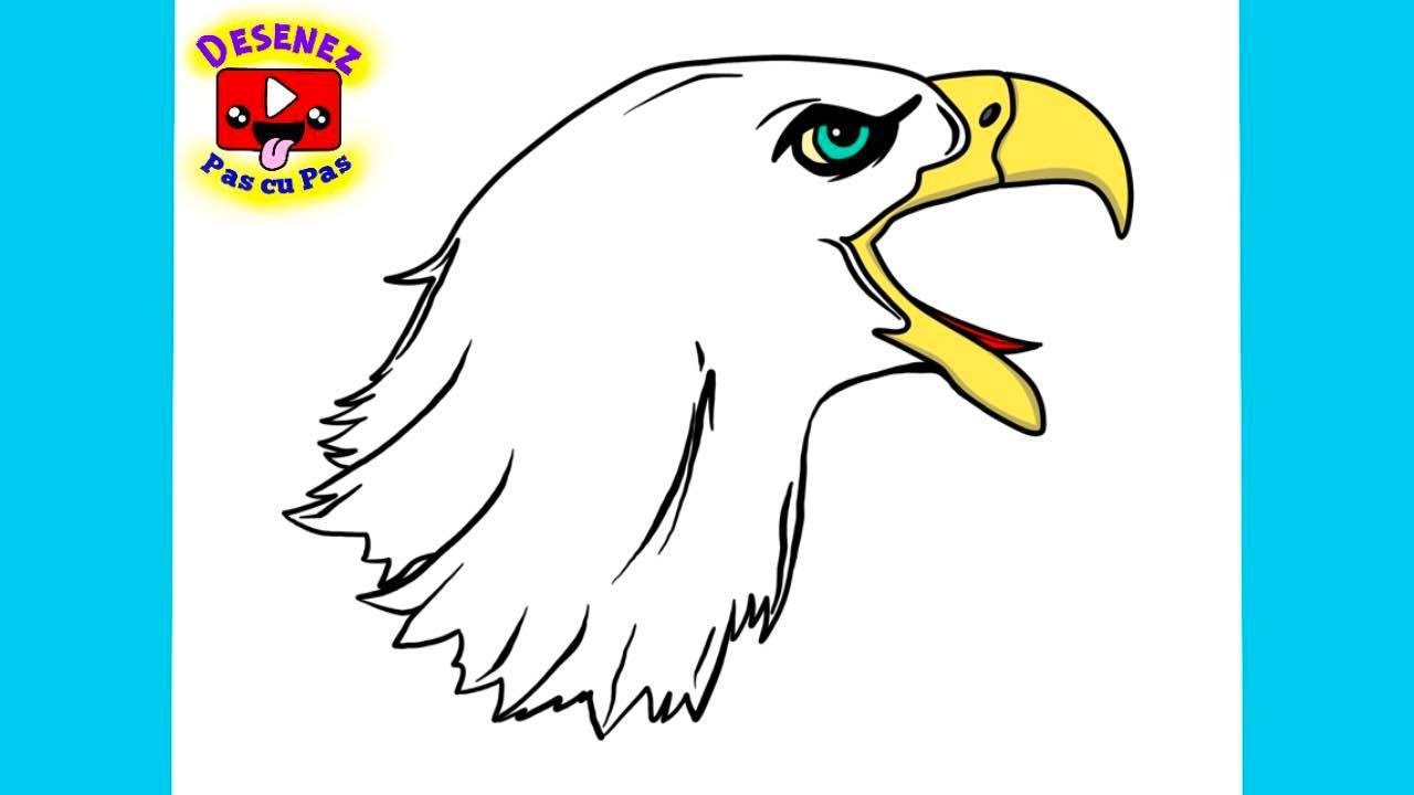 Cum DESENEZ un VULTUR Usor de Desenat Pas cu Pas🦅 HOW TO DRAW EAGLE Step by Step Easy for beginners