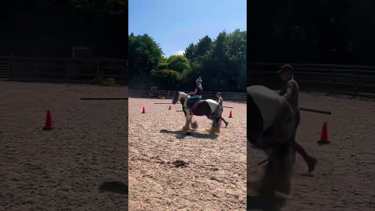 Joes sitting Trot is SO BOUNCY ITS UNBELIEVABLE 🤣🤣🤣😭😭❤️❤️❤️ | #equestrian #equestrianjourney |