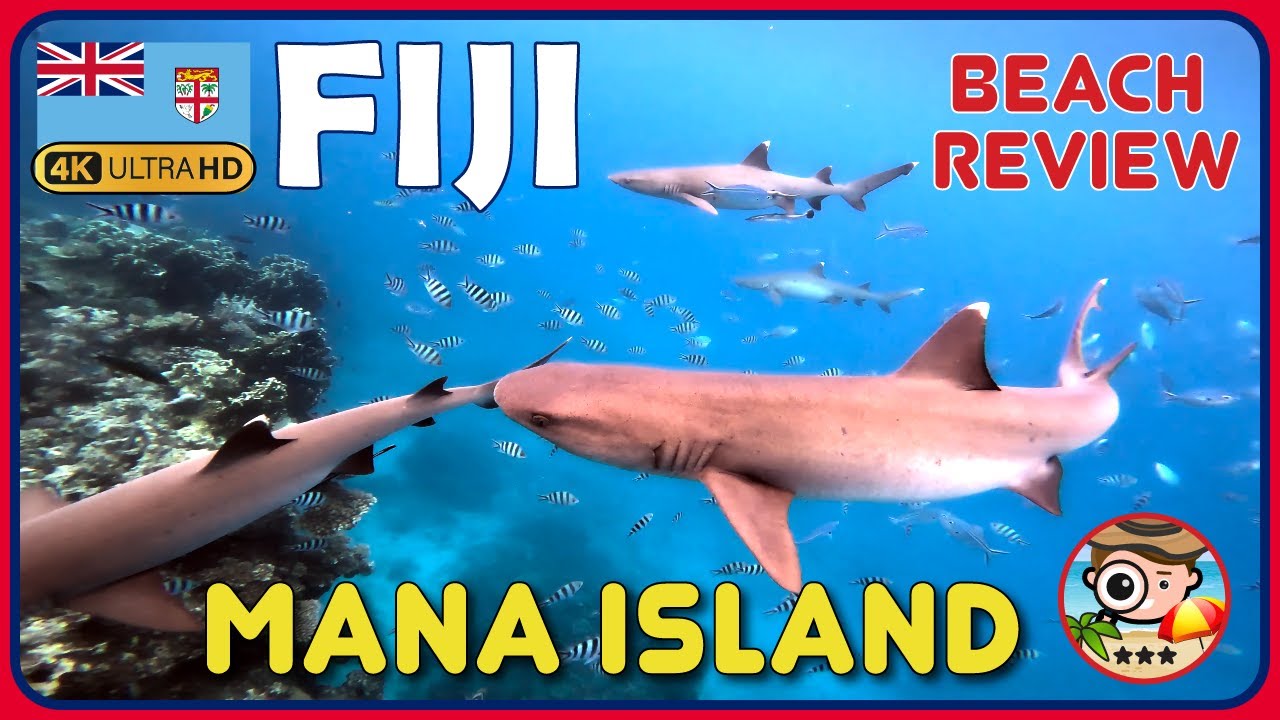 Mana Island Fiji 🇫🇯 (Great Island for diving!🦈) 4k Beachwalk / 4k Walkingtour Mamanuca - South Beach