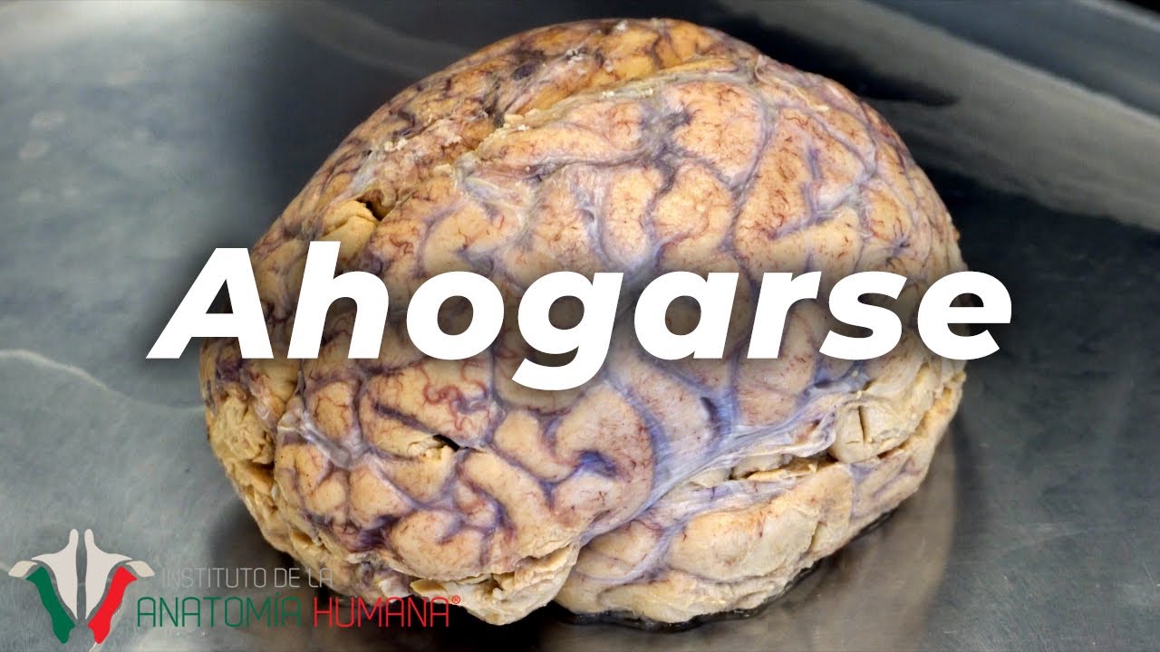 AHOGARSE : ¿Como es que se siente?