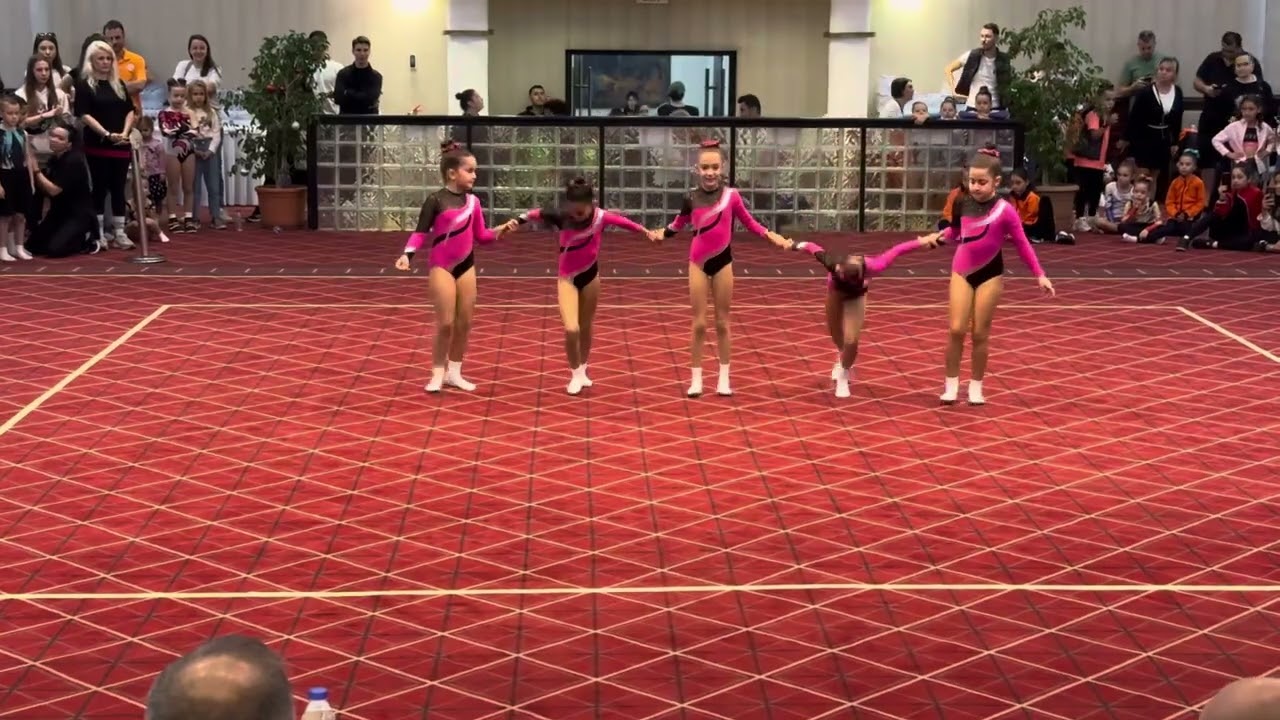 Türkiye Cimnastik Federasyonu Aerobik Cimnastik Özel Yaş Grupları Turnuvası Aralık 2023