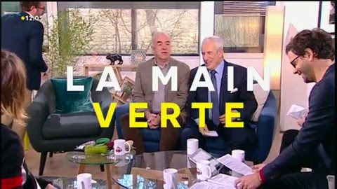 Le tuteurage : mode d'emploi - La Quotidienne