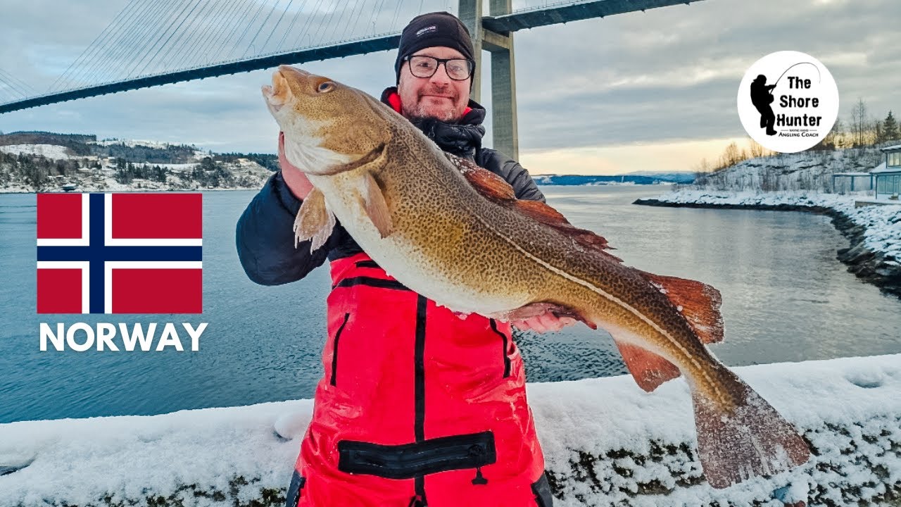 Shore Fishing Norway, Day 1 & 2 Wayne Hand Cod & Haddock Fishing 4K.