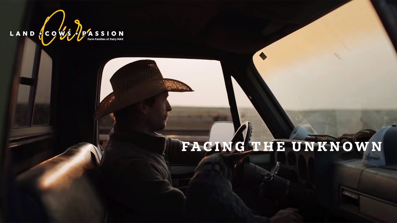 Facing the Unknown | Dairy Up Close