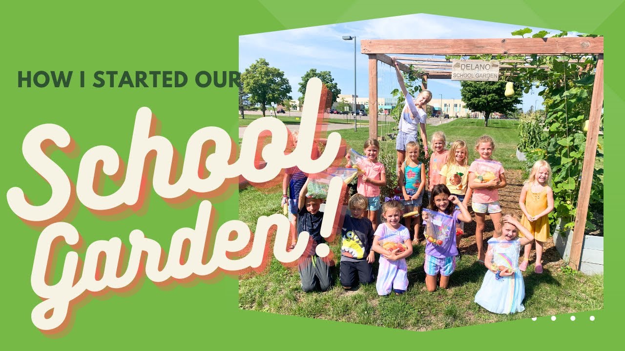 How I Started a School Garden: Classes, Support, Budgets