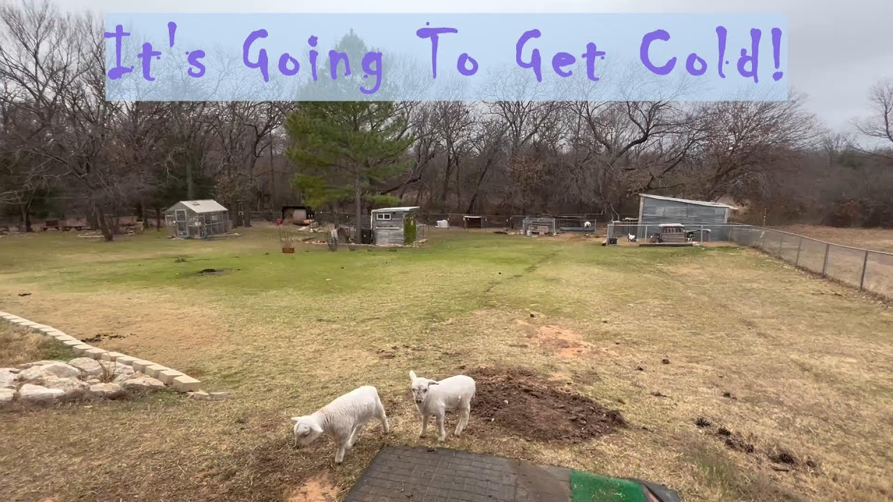 Preparing For The Coming Winter Storm In Texas!