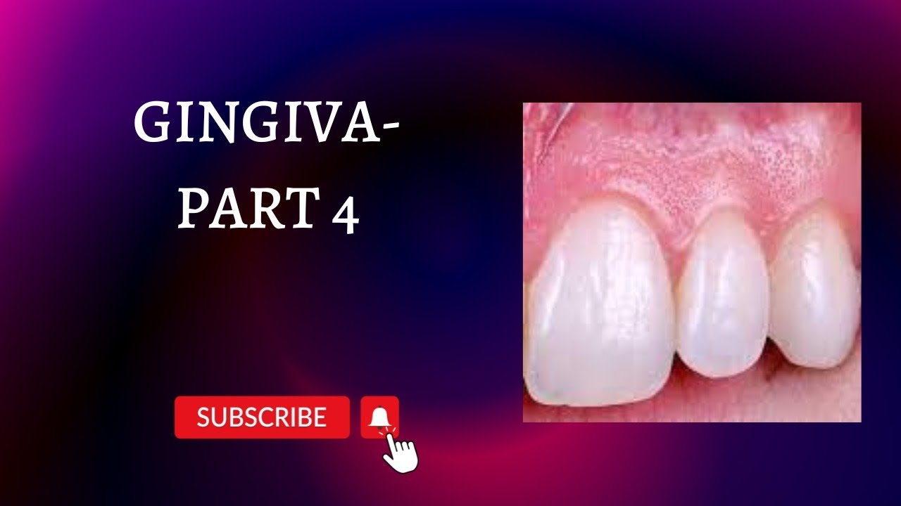 GINGIVA | PART 4 | CLINICAL FEATURES OF GINGIVA | PERIODONTICS