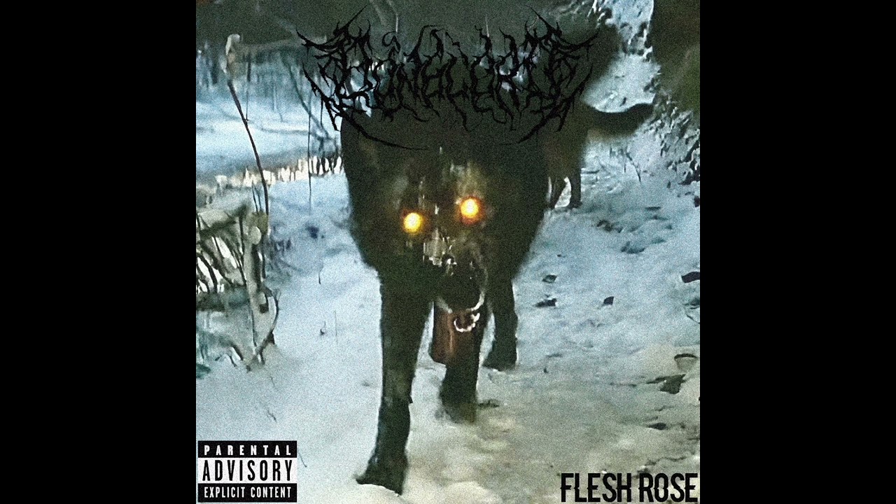 Bonglord - Flesh Rose