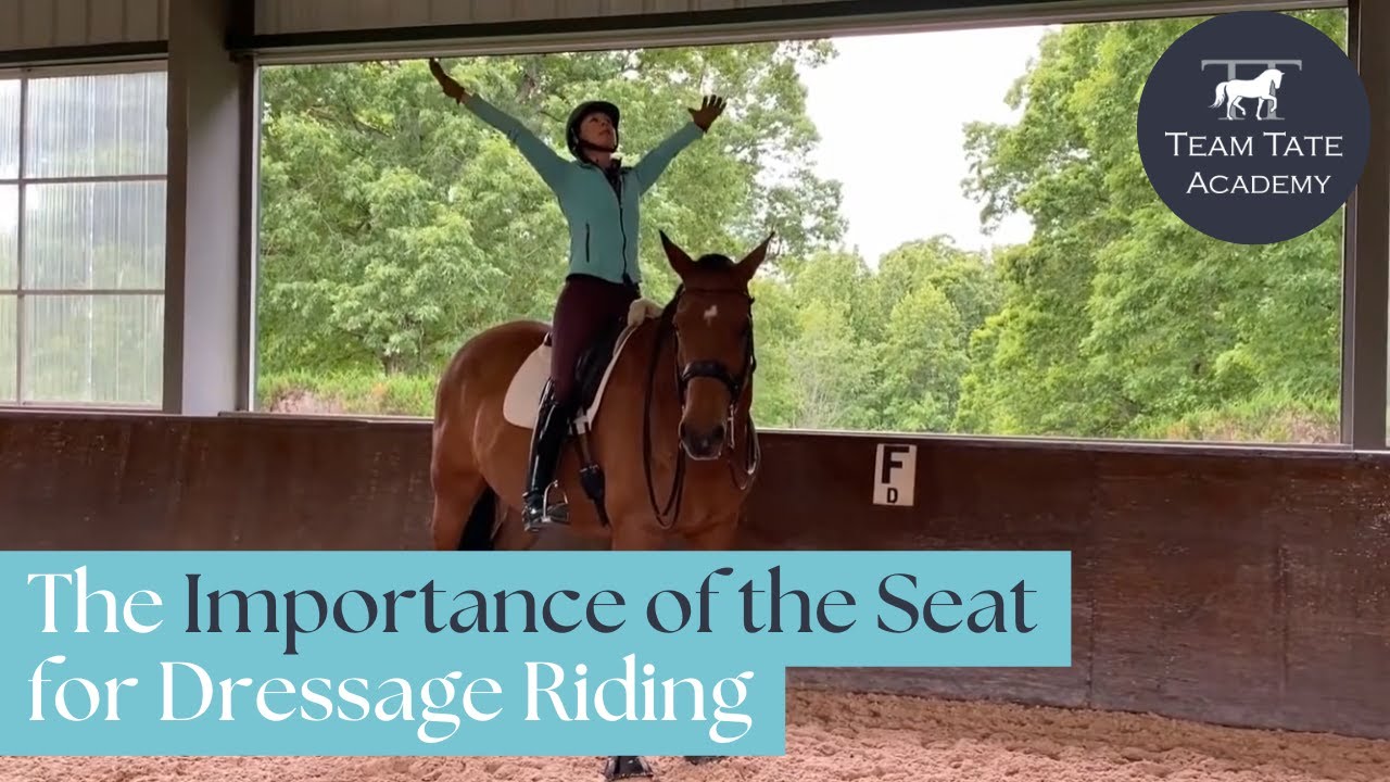 Lesson Review: The Importance of the Seat for Dressage Riding