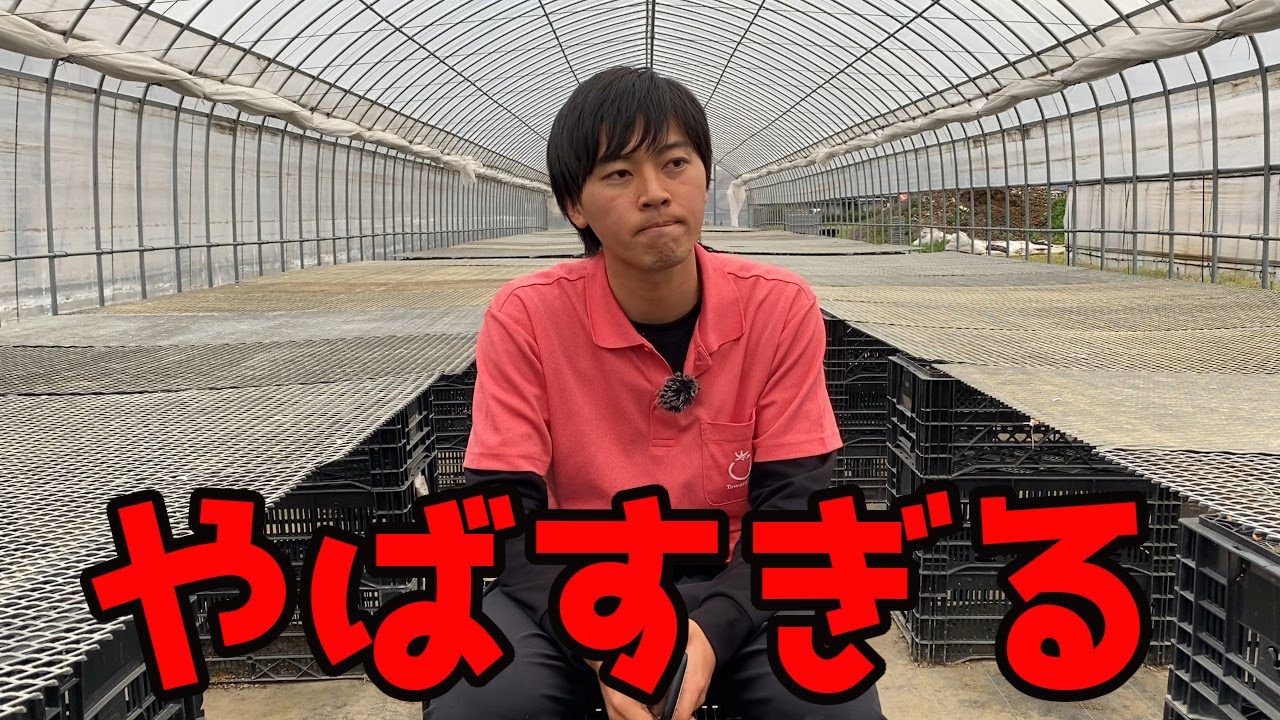 『令和の百姓一揆』について農家の本音をお話しします。