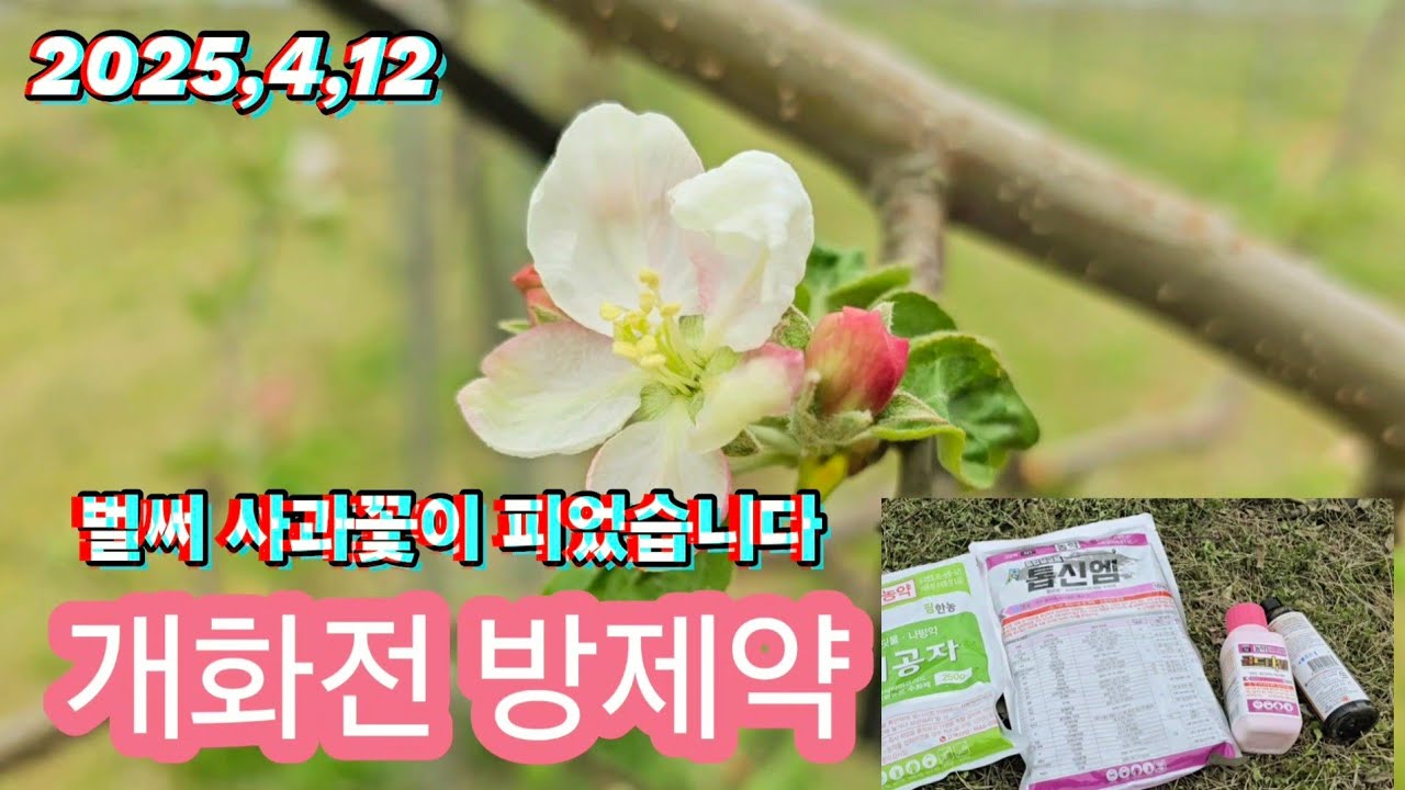 2025년 사과나무 개화전 방제약